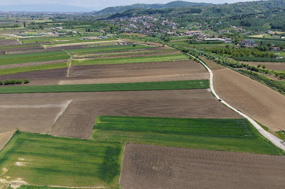 serdiven kazımpaşa satılık tarla