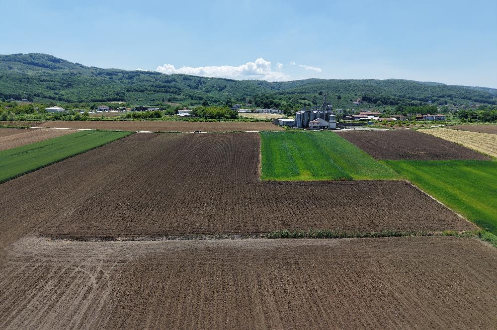 serdiven kazımpaşa satılık tarla