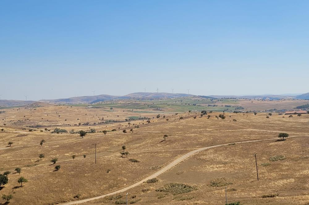 C21 BAL'DAN KARESİ KIRMIZILAR MAH.DE SATILIK KÖŞE PARSEL ARSA