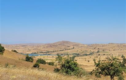 C21 BAL'DAN KARESİ KIRMIZILAR MAH.DE SATILIK KÖŞE PARSEL ARSA