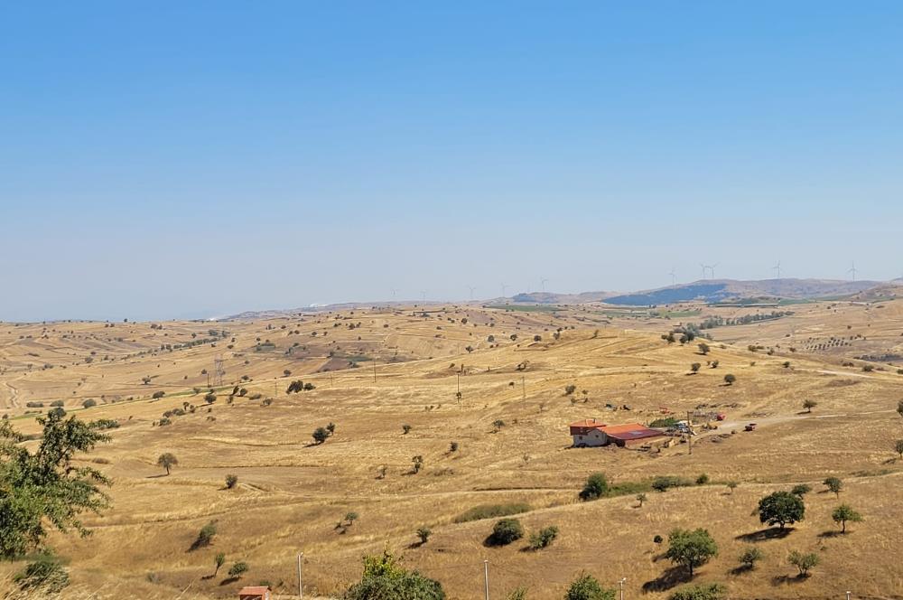 C21 BAL'DAN KARESİ KIRMIZILAR MAH.DE SATILIK KÖŞE PARSEL ARSA