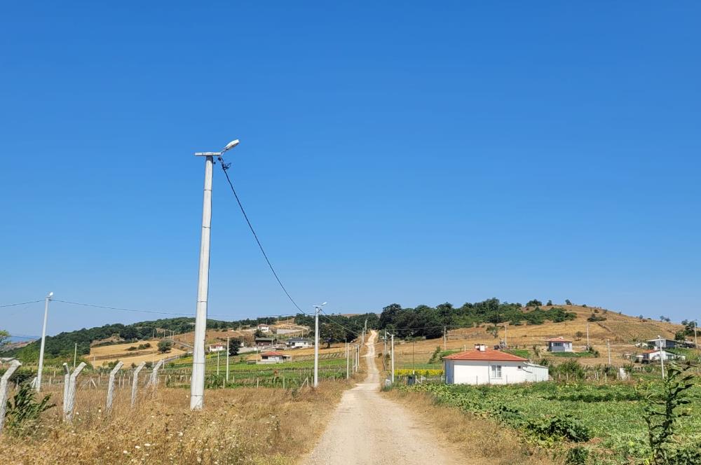 C21 BAL'DAN KARESİ KIRMIZILAR MAH.DE SATILIK KÖŞE PARSEL ARSA