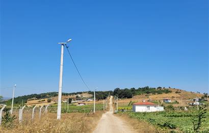 C21 BAL'DAN KARESİ KIRMIZILAR MAH.DE SATILIK KÖŞE PARSEL ARSA