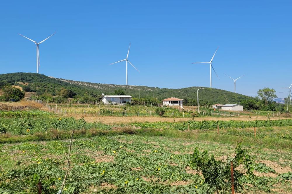 C21 BAL'DAN KARESİ KIRMIZILAR MAH.DE SATILIK KÖŞE PARSEL ARSA