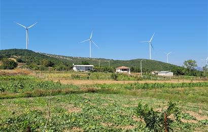 C21 BAL'DAN KARESİ KIRMIZILAR MAH.DE SATILIK KÖŞE PARSEL ARSA