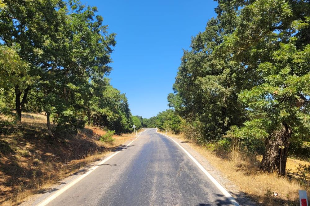 C21 BAL'DAN KARESİ KIRMIZILAR MAH.DE SATILIK KÖŞE PARSEL ARSA