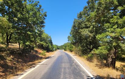 C21 BAL'DAN KARESİ KIRMIZILAR MAH.DE SATILIK KÖŞE PARSEL ARSA