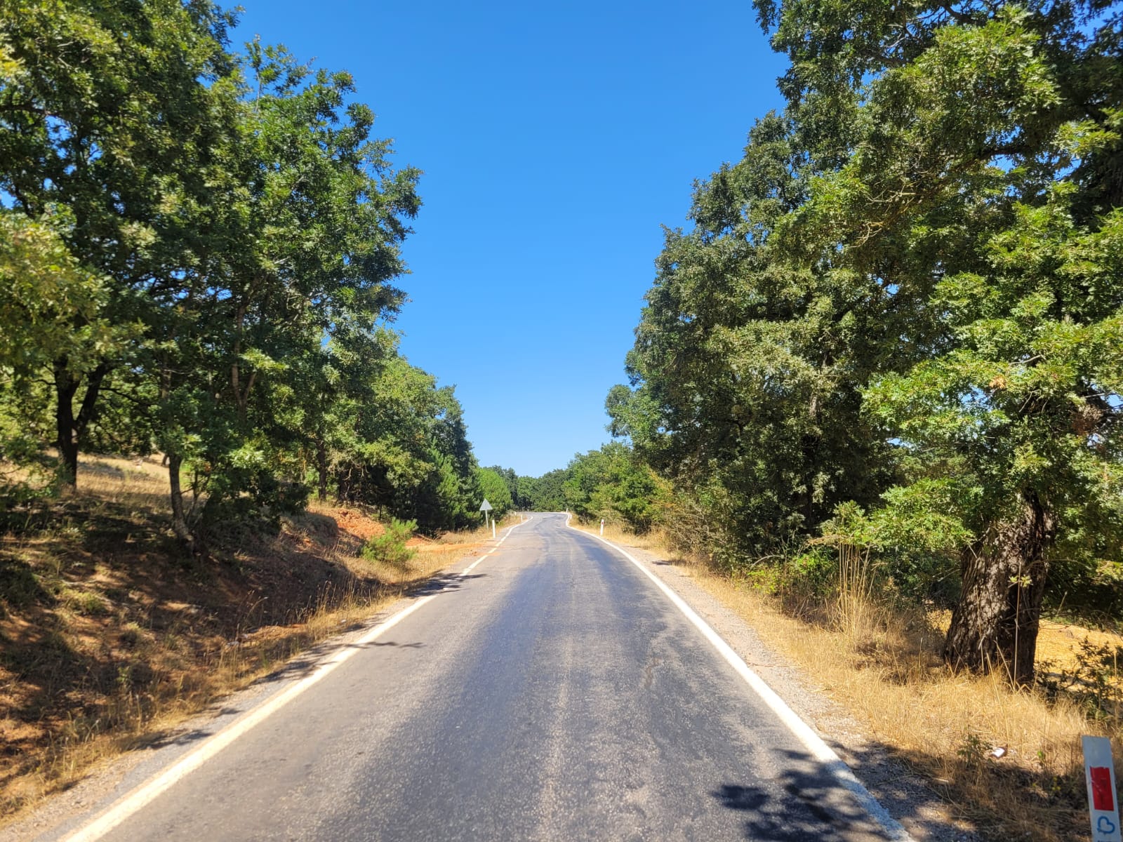 C21 BAL'DAN KARESİ KIRMIZILAR MAH.DE SATILIK KÖŞE PARSEL ARSA