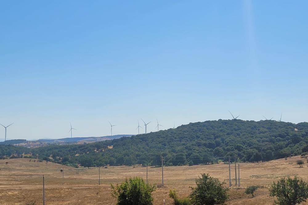 C21 BAL'DAN KARESİ KIRMIZILAR MAH.DE SATILIK KÖŞE PARSEL ARSA