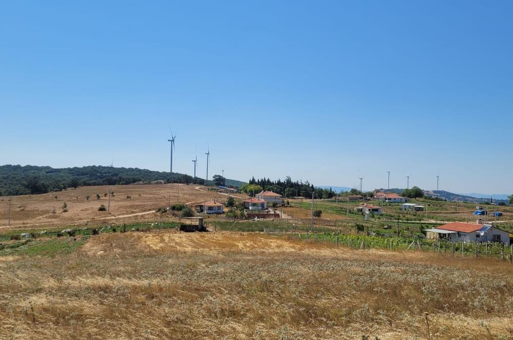 C21 BAL'DAN KARESİ KIRMIZILAR MAH.DE SATILIK KÖŞE PARSEL ARSA