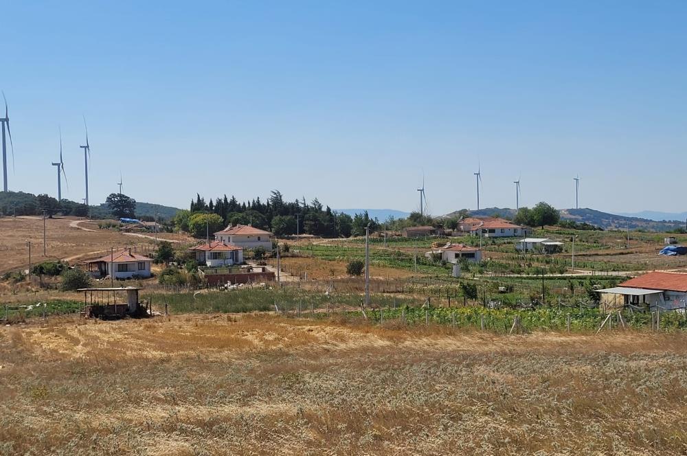 C21 BAL'DAN KARESİ KIRMIZILAR MAH.DE SATILIK KÖŞE PARSEL ARSA