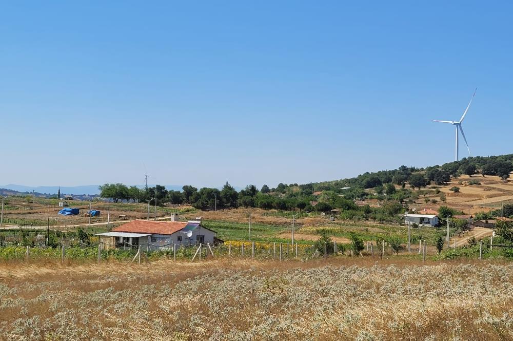 C21 BAL'DAN KARESİ KIRMIZILAR MAH.DE SATILIK KÖŞE PARSEL ARSA