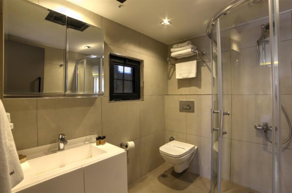 BEŞİKTAŞ VİŞNEZADE LÜKS 1+0 KİRALIK DAİRE  