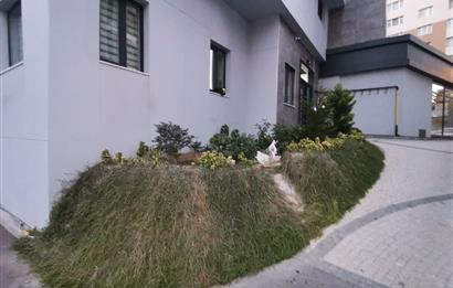 KOZYATAĞI KAYASULTAN SK 2+1 TEMİZ ARA KAT KİRALIK DAİRE