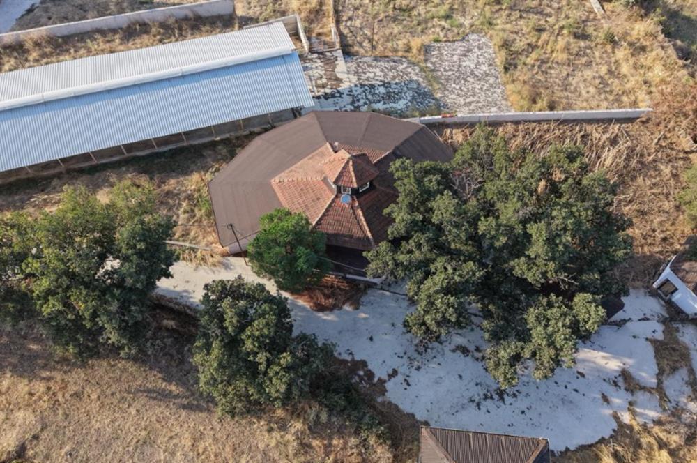 BALIKESİR SUSURLUK'TA 12.492m²/7.000m² KAPALI ALANI OLAN ŞİRKET İLE BİRLİKTE SATILIK ÇİFTLİK C21 BAL'DA