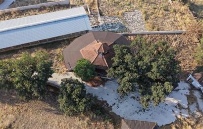 BALIKESİR SUSURLUK'TA 12.492m²/7.000m² KAPALI ALANI OLAN ŞİRKET İLE BİRLİKTE SATILIK ÇİFTLİK C21 BAL'DA