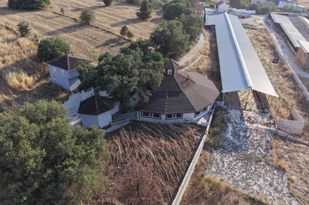 BALIKESİR SUSURLUK'TA 12.492m²/7.000m² KAPALI ALANI OLAN ŞİRKET İLE BİRLİKTE SATILIK ÇİFTLİK C21 BAL'DA
