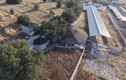 BALIKESİR SUSURLUK'TA 12.492m²/7.000m² KAPALI ALANI OLAN ŞİRKET İLE BİRLİKTE SATILIK ÇİFTLİK C21 BAL'DA