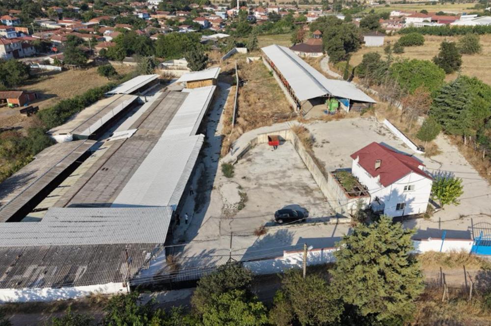 BALIKESİR SUSURLUK'TA 12.492m²/7.000m² KAPALI ALANI OLAN ŞİRKET İLE BİRLİKTE SATILIK ÇİFTLİK C21 BAL'DA