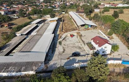 BALIKESİR SUSURLUK'TA 12.492m²/7.000m² KAPALI ALANI OLAN ŞİRKET İLE BİRLİKTE SATILIK ÇİFTLİK C21 BAL'DA