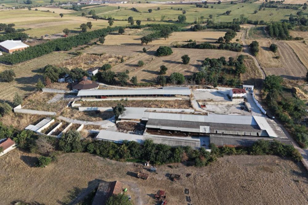 BALIKESİR SUSURLUK'TA 12.492m²/7.000m² KAPALI ALANI OLAN ŞİRKET İLE BİRLİKTE SATILIK ÇİFTLİK C21 BAL'DA