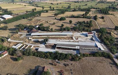 BALIKESİR SUSURLUK'TA 12.492m²/7.000m² KAPALI ALANI OLAN ŞİRKET İLE BİRLİKTE SATILIK ÇİFTLİK C21 BAL'DA