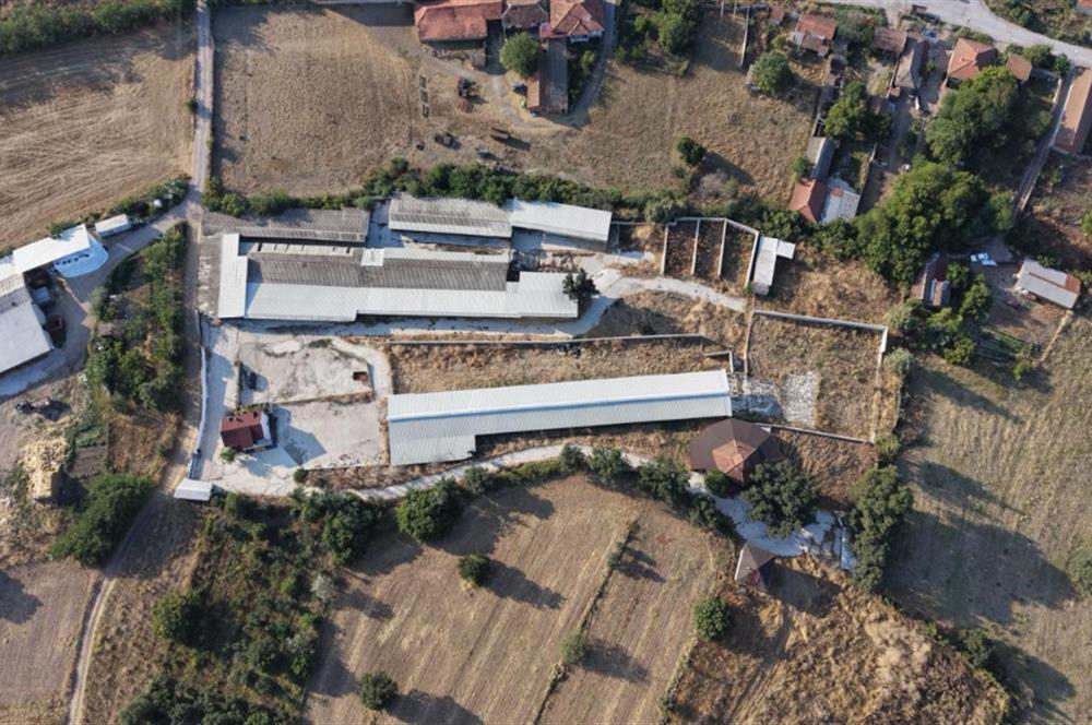 BALIKESİR SUSURLUK'TA 12.492m²/7.000m² KAPALI ALANI OLAN ŞİRKET İLE BİRLİKTE SATILIK ÇİFTLİK C21 BAL'DA