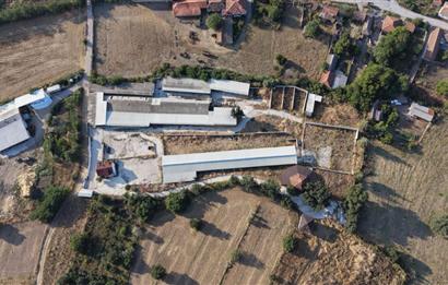 BALIKESİR SUSURLUK'TA 12.492m²/7.000m² KAPALI ALANI OLAN ŞİRKET İLE BİRLİKTE SATILIK ÇİFTLİK C21 BAL'DA