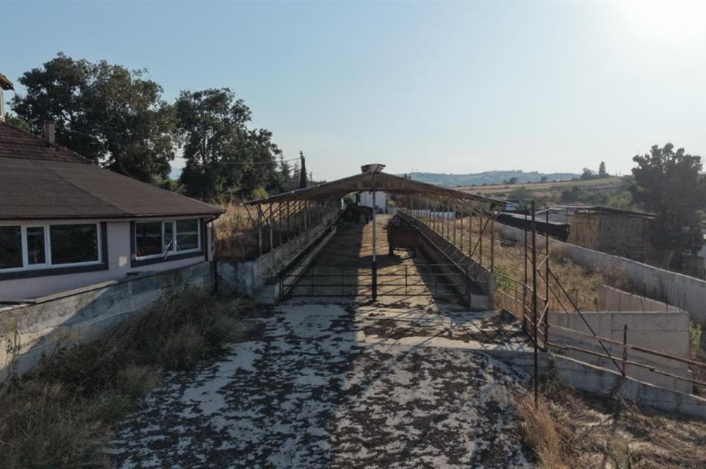 BALIKESİR SUSURLUK'TA 12.492m²/7.000m² KAPALI ALANI OLAN ŞİRKET İLE BİRLİKTE SATILIK ÇİFTLİK C21 BAL'DA