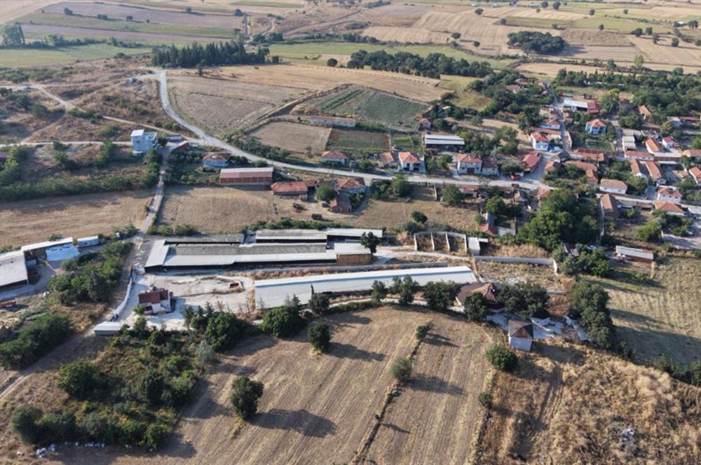 BALIKESİR SUSURLUK'TA 12.492m²/7.000m² KAPALI ALANI OLAN ŞİRKET İLE BİRLİKTE SATILIK ÇİFTLİK C21 BAL'DA