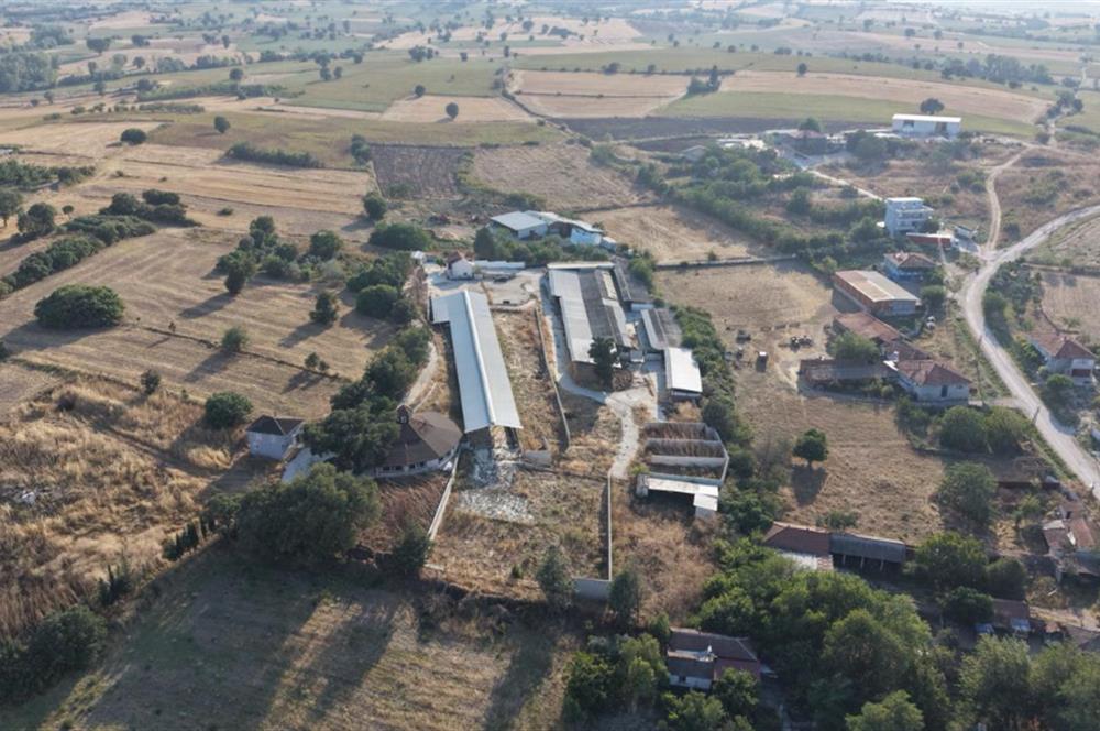 BALIKESİR SUSURLUK'TA 12.492m²/7.000m² KAPALI ALANI OLAN ŞİRKET İLE BİRLİKTE SATILIK ÇİFTLİK C21 BAL'DA