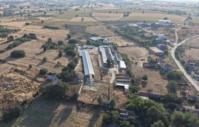 BALIKESİR SUSURLUK'TA 12.492m²/7.000m² KAPALI ALANI OLAN ŞİRKET İLE BİRLİKTE SATILIK ÇİFTLİK C21 BAL'DA