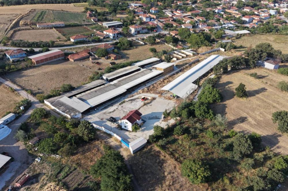 BALIKESİR SUSURLUK'TA 12.492m²/7.000m² KAPALI ALANI OLAN ŞİRKET İLE BİRLİKTE SATILIK ÇİFTLİK C21 BAL'DA