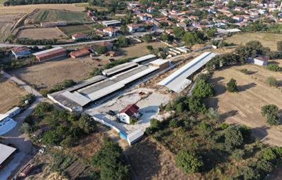BALIKESİR SUSURLUK'TA 12.492m²/7.000m² KAPALI ALANI OLAN ŞİRKET İLE BİRLİKTE SATILIK ÇİFTLİK C21 BAL'DA