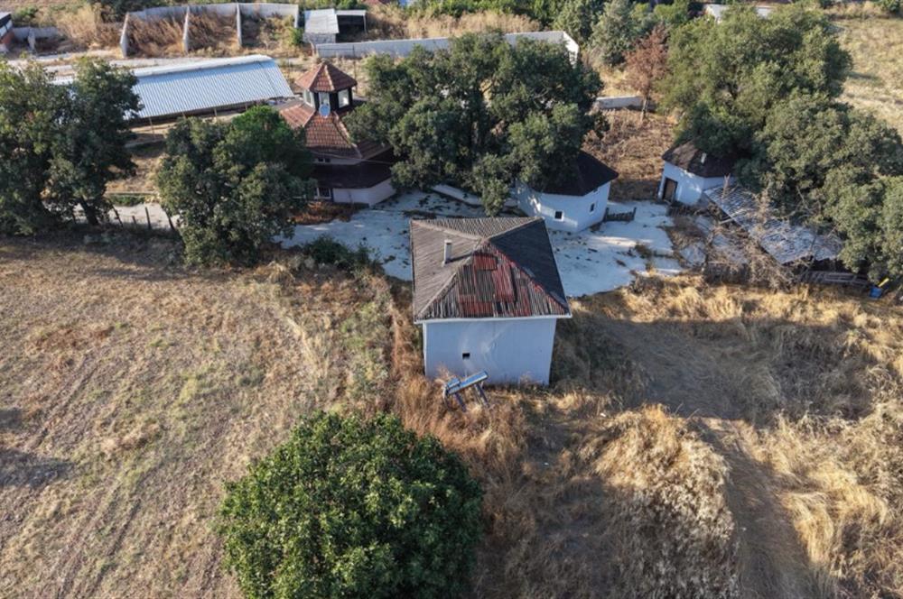 BALIKESİR SUSURLUK'TA 12.492m²/7.000m² KAPALI ALANI OLAN ŞİRKET İLE BİRLİKTE SATILIK ÇİFTLİK C21 BAL'DA