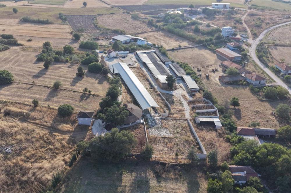 BALIKESİR SUSURLUK'TA 12.492m²/7.000m² KAPALI ALANI OLAN ŞİRKET İLE BİRLİKTE SATILIK ÇİFTLİK C21 BAL'DA