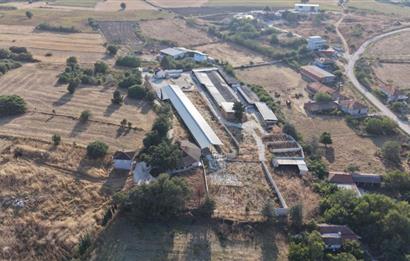 BALIKESİR SUSURLUK'TA 12.492m²/7.000m² KAPALI ALANI OLAN ŞİRKET İLE BİRLİKTE SATILIK ÇİFTLİK C21 BAL'DA