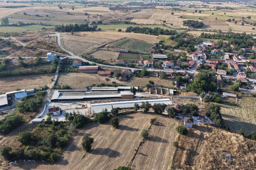 BALIKESİR SUSURLUK'TA 12.492m²/7.000m² KAPALI ALANI OLAN ŞİRKET İLE BİRLİKTE SATILIK ÇİFTLİK C21 BAL'DA