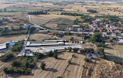 BALIKESİR SUSURLUK'TA 12.492m²/7.000m² KAPALI ALANI OLAN ŞİRKET İLE BİRLİKTE SATILIK ÇİFTLİK C21 BAL'DA