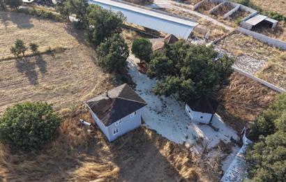 BALIKESİR SUSURLUK'TA 12.492m²/7.000m² KAPALI ALANI OLAN ŞİRKET İLE BİRLİKTE SATILIK ÇİFTLİK C21 BAL'DA