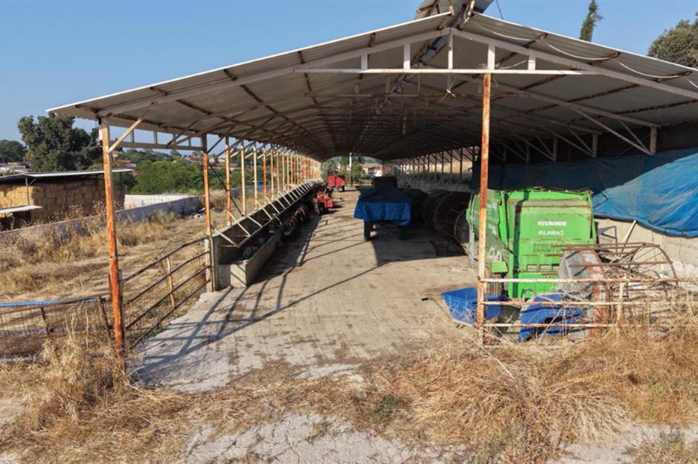 BALIKESİR SUSURLUK'TA 12.492m²/7.000m² KAPALI ALANI OLAN ŞİRKET İLE BİRLİKTE SATILIK ÇİFTLİK C21 BAL'DA