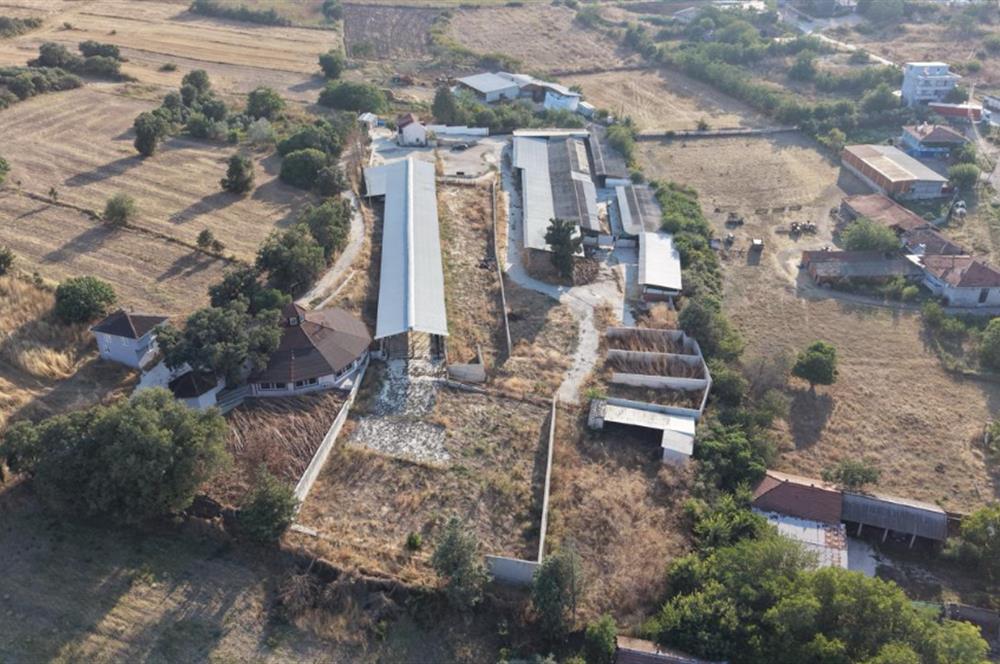 BALIKESİR SUSURLUK'TA 12.492m²/7.000m² KAPALI ALANI OLAN ŞİRKET İLE BİRLİKTE SATILIK ÇİFTLİK C21 BAL'DA