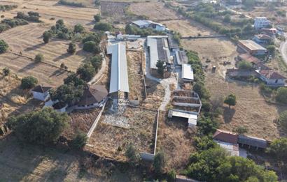 BALIKESİR SUSURLUK'TA 12.492m²/7.000m² KAPALI ALANI OLAN ŞİRKET İLE BİRLİKTE SATILIK ÇİFTLİK C21 BAL'DA