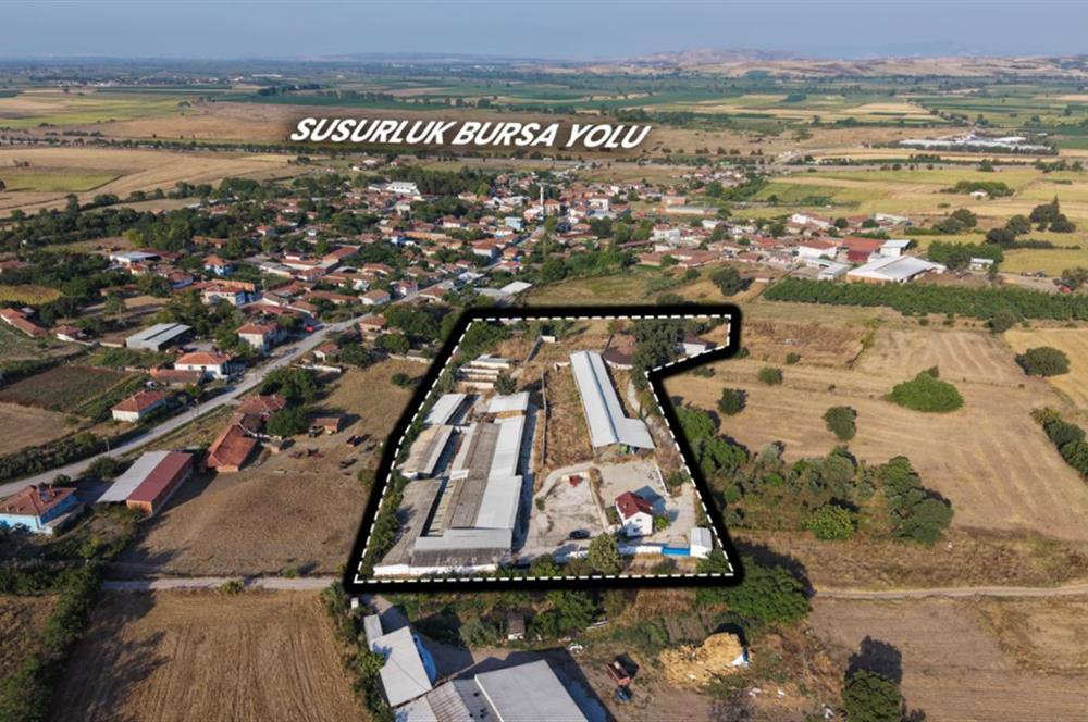 BALIKESİR SUSURLUK'TA 12.492m²/7.000m² KAPALI ALANI OLAN ŞİRKET İLE BİRLİKTE SATILIK ÇİFTLİK C21 BAL'DA