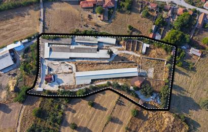 BALIKESİR SUSURLUK'TA 12.492m²/7.000m² KAPALI ALANI OLAN ŞİRKET İLE BİRLİKTE SATILIK ÇİFTLİK C21 BAL'DA