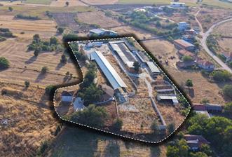 BALIKESİR SUSURLUK'TA 12.492m²/7.000m² KAPALI ALANI OLAN ŞİRKET İLE BİRLİKTE SATILIK ÇİFTLİK C21 BAL'DA - 3 - 36281