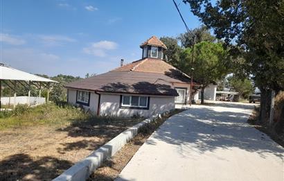 BALIKESİR SUSURLUK'TA 12.492m²/7.000m² KAPALI ALANI OLAN ŞİRKET İLE BİRLİKTE SATILIK ÇİFTLİK C21 BAL'DA