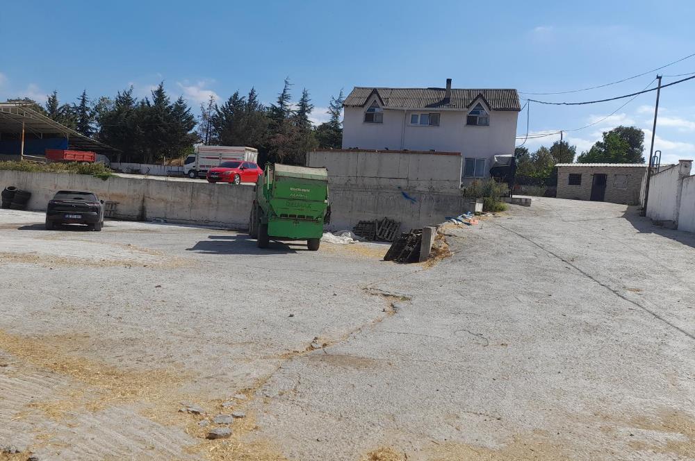 BALIKESİR SUSURLUK'TA 12.492m²/7.000m² KAPALI ALANI OLAN ŞİRKET İLE BİRLİKTE SATILIK ÇİFTLİK C21 BAL'DA