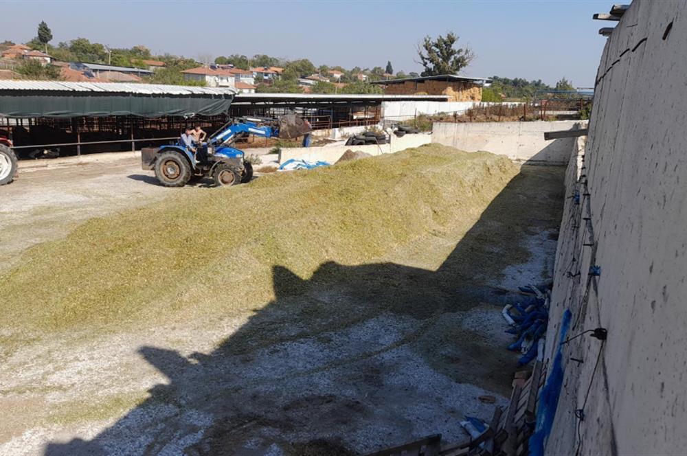 BALIKESİR SUSURLUK'TA 12.492m²/7.000m² KAPALI ALANI OLAN ŞİRKET İLE BİRLİKTE SATILIK ÇİFTLİK C21 BAL'DA