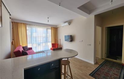 C21 BAL'DAN PLEVNE MH ŞEHİT BİROL KOÇ CD.DE EŞYALI 1+1 KİRALIK DAİRE